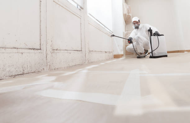 24/7 Emergency Mold Removal experts in Fort Worth, TX