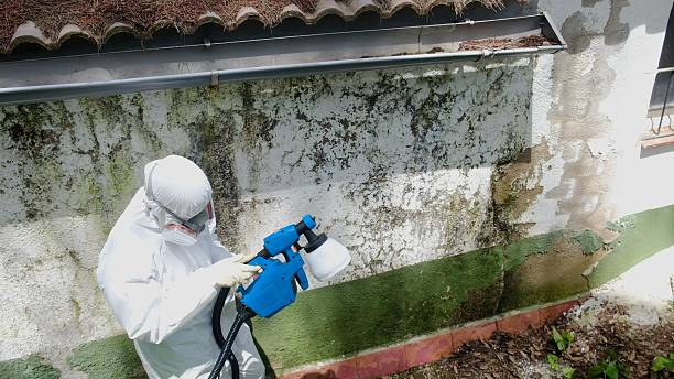 Trusted Bathroom Mold Removal service in Fort Worth, TX - Cheap Mold Removal